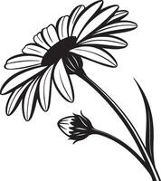 Elegant Black and White Daisy Flower in Full Bloom, Gracefully Bending, Isolated on White Background, Evoking a Sense of Serenity and Beauty vector