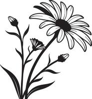 Elegant Black and White Daisy Flower Bouquet Illustration, Blooming in Summer, Graceful Floral Design, Serene Nature Scene vector