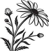 Elegant Black and White Daisy Flower Illustration Blooming in Simple Style Against White Background - Professional digital artwork with vibrant colors and detailed composition vector
