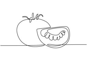 one continuous single line of tomato.Fruits food concept. vector