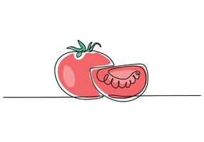 one continuous single line of red tomato isolated on white background.Fruits food concept . vector