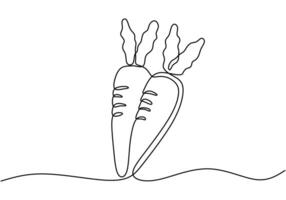 one continuous single line of two carrots isolated on white background.vegetable food concept vector