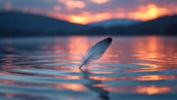 Feather Floating on Water at Sunset Creates Peaceful Tranquil Scene photo