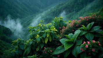 Rain Falling on Lush Green Mountainside with Pink Flowers and Mist photo