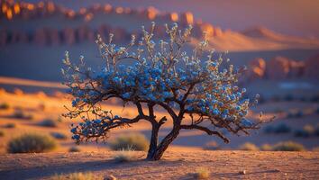 Tree with Blue Flowers in Desert Landscape at Sunset Glow photo