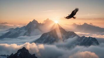 Eagle Flying Over Mountain Peaks at Sunrise with Clouds Below photo