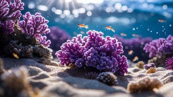 Vibrant Coral Reef Scene with Sunlight and Small Aquatic Life photo