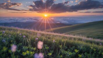 Sunset Over Rolling Hills with Wildflowers and Cloud Inversion photo