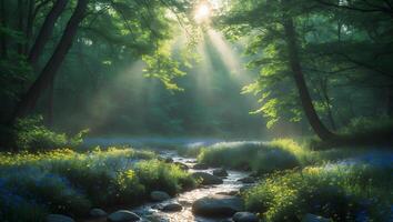 Sunbeams Over Forest Stream with Wildflowers Creates a Serene Scene photo