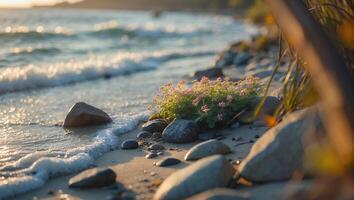 Beach Coastline with Rocks, Flowers, and Gentle Waves at Golden Hour photo