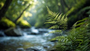 Green Fern Frond by Flowing Creek in Lush Forest Environment photo
