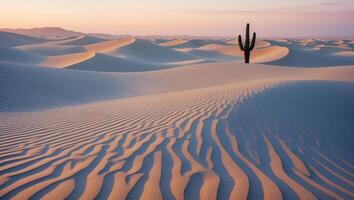 Cactus Standing Tall in Rolling Sand Dunes at Sunset Radiating Warmth photo
