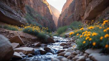 Stream Flowing Through Canyon with Yellow Flowers and Rocky Terrain photo