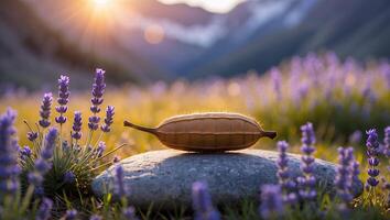Seed Pod on Rock in Lavender Field at Golden Hour photo