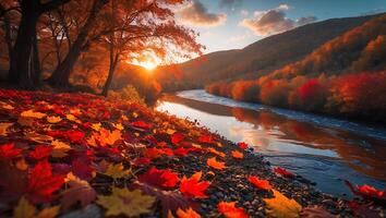 Autumn Leaves by Riverbank at Sunset with Forest and Mountain photo