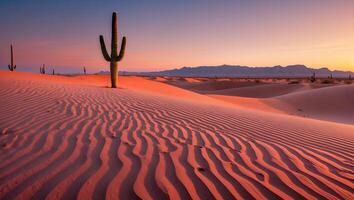 Desert Landscape with Cactus at Sunset Featuring Sand Dunes Pattern photo