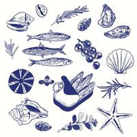 Mediterranean Vintage Food and Sea Elements Illustration Set vector
