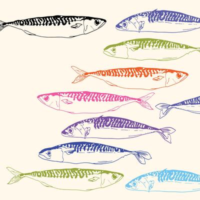Colorful Hand-Drawn Mackerel Fish - Vintage Seafood Illustration
