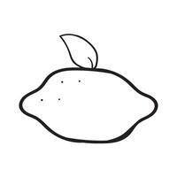 Simple outline icon. Lemon. Hand drawn design. Illustration on white background. vector