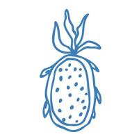 Hand drawn blue pitaya in doodle style. Mediterranean summer icon, element for italian menu, wedding, print, invitation. Ink sketch design of summer beach. Flat tropical minimalist illustration vector