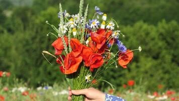 Bright Wildflower Bouquet Held in Hand Against a Vibrant Field Background During a Sunny Day in Summer photo