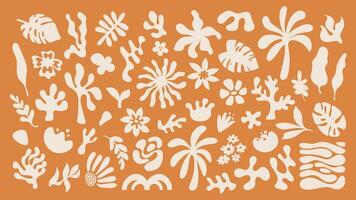 Set of simple hand drawn elements. Retro elements for graphic design, tropical leaves, flowers and shape in linocut style vector