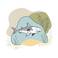 Handdrawn Illustration of a Spotted Leopard Shark in an Underwater Scene vector