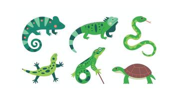 Cartoon Reptiles and Amphibians Collection Iguana, Chameleon, Snake, Turtle, Lizard, Gecko vector