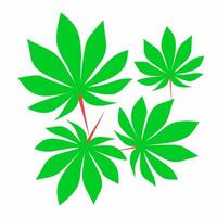 illustration of green cassava leaves collection with stalks isolated on white background vector