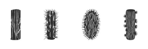 Cactus Silhouettes With Spines And Textures Set. Desert Plant Illustrations For Botanical Design And Nature Themes. Isolated Illustration Collection vector