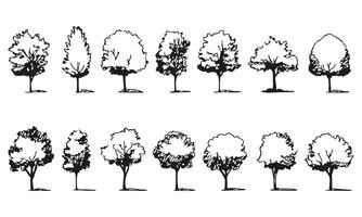 Black and White Tree Silhouettes Collection. Landscape Design and Architectural Planning Elements Set. Isolated Illustration vector