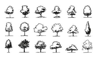Black and White Tree Silhouettes Set. Landscape Architecture and Design Resources Collection. Versatile and Artistic Botanical Elements. Isolated Illustration vector