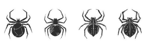 Spider Silhouettes Collection. Arachnid Diversity And Identification. Isolated Illustration Set vector
