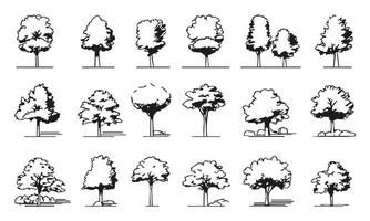 Black and White Tree Sketches Collection. Landscape Architecture and Urban Planning Design Element Set. Isolated Illustration vector