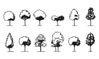 Black Silhouette Tree Collection Set. Landscape Architecture And Urban Design Element Collection. Isolated Illustration vector