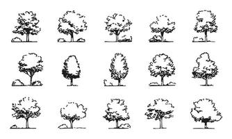 Hand-Drawn Tree and Shrub Silhouette Set. Landscape Architecture and Garden Design Collection. Classic and Artistic Aesthetics. Isolated Illustration vector