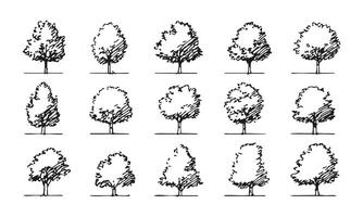 Black and White Hand-Drawn Trees Collection. Architectural and Landscape Design Elements for Planning Projects. Artistic and Natural Style. Isolated Illustration vector
