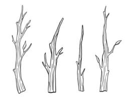 Dry tree branch sketch isolated on white background. Hand drawn illustrations set vector