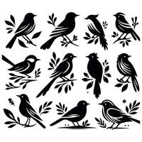 birds on branches set of illustration vector