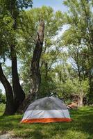 Experience the tranquility of a serene camping tent setup, surrounded by lush greenery and majestic trees, perfect for those seeking an escape into natures beautiful landscape and biodiversity photo