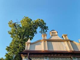 As I gaze upwards at the roof of the historic building, I can see a beautiful tree in the background, creating a delightful contrast to the architecture that features a stunning finial photo