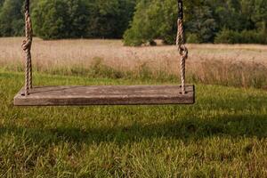 A swing hanging in a field with a tree in the background photo