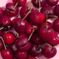 A large pile of cherries on a pink background photo