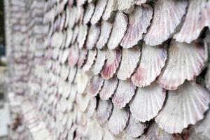 rmita da Toxa, the Galician chapel covered by thousands of scallop shells photo