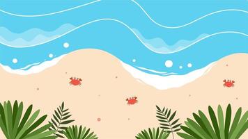 uma relaxante animação mostrando tropical ondas suavemente lavando para a arenoso praia, com espalhados plantas e conchas do mar dentro uma tema de verão cena. video
