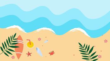Colorful beach shells and leaves placed randomly on sandy shore with calm waves. video