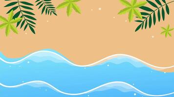 A smooth summer shoreline with gentle waves golden sand and tropical leaves across the top edge video