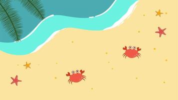 Two crabs walk on smooth beach sand near shoreline with sea waves. video