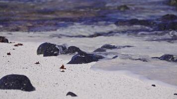 Waves gently lap at dark rocks on a serene beach video