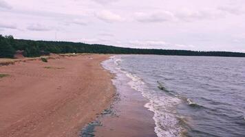 Calm waves kiss the sandy shore at a remote beach video